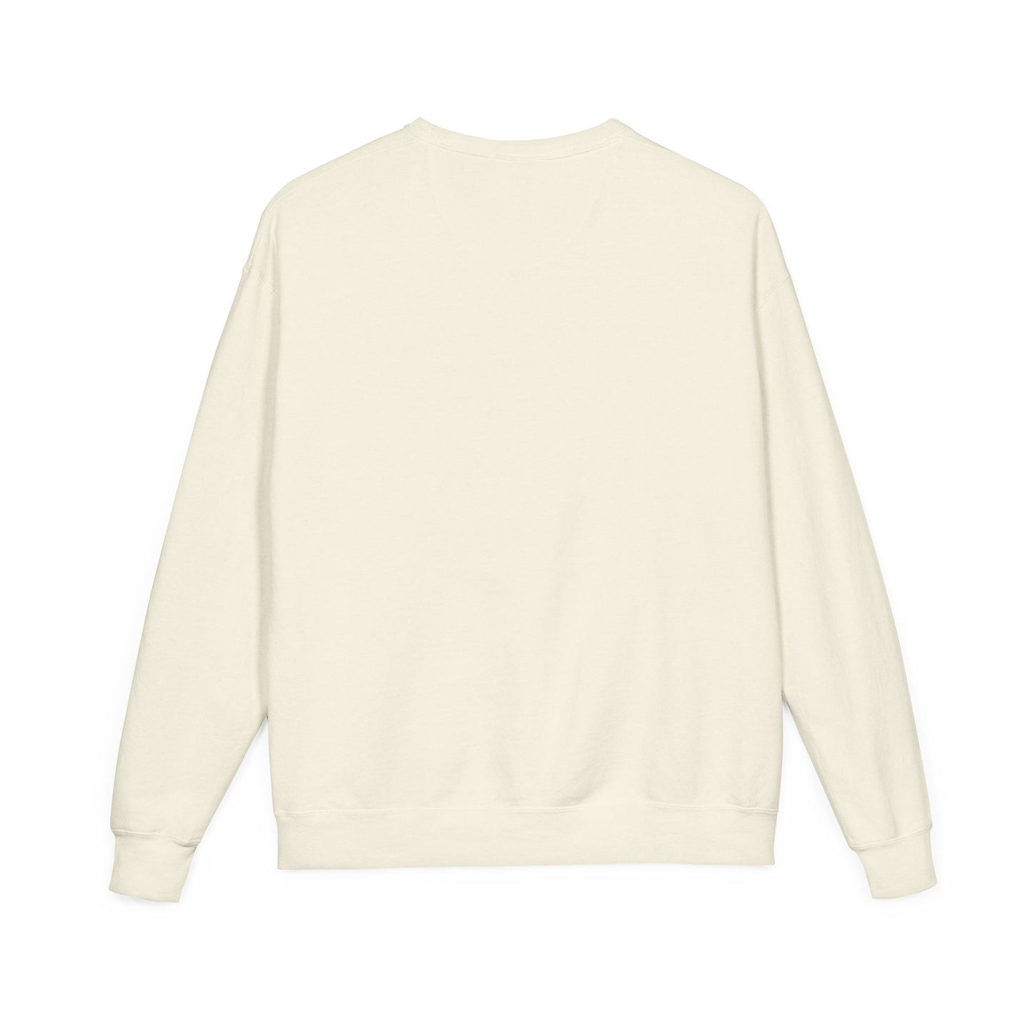 Detroit Lions Garment Dyed Sweatshirt, Unisex Crewneck, Vintage Sports Apparel, Football Fan Gift, Cozy Game Day Outfit